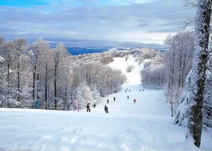 Azureva Club Апарт-отель 3*